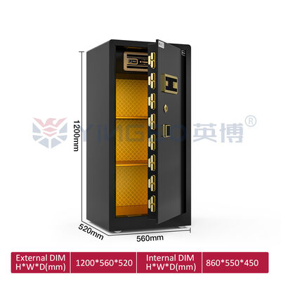 12 mm Türverkleidung, umweltfreundlicher Lack, Haussafe YB/RS-120, Schwarz