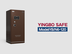 YB-N6-120-Haussicherung